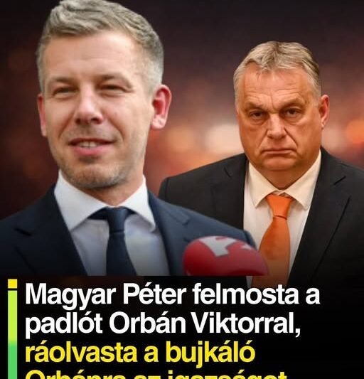 Magyar Péter felmosta a padlót Orbán Viktorral, ráolvasta a bujkáló Orbánra az igazságot