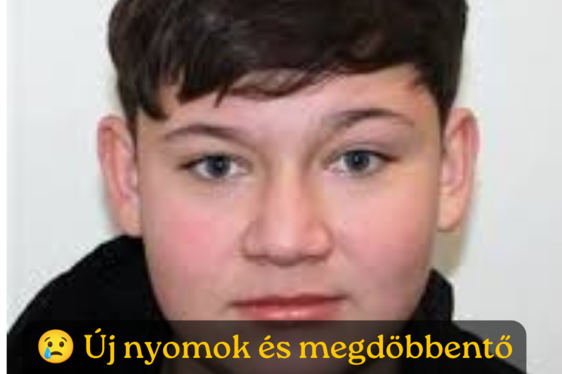 Döbbenetes fordulat az eltűnt fiú ügyében: Felfoghatatlan kegyetlenség!Iskolatársai gyilkoltak meg egy 15 éves fiút 👇 Cikk a hozzászólásoknál!