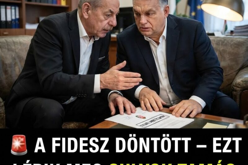 🚨 A Fidesz döntött: ezt lépik meg Sulyok Tamás hivatalban tartásáért!
